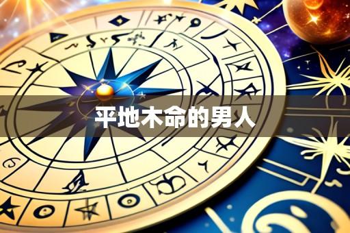 平地木命的男人