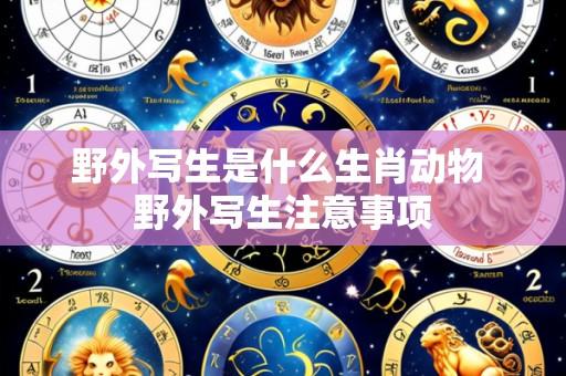 野外写生是什么生肖动物 野外写生注意事项