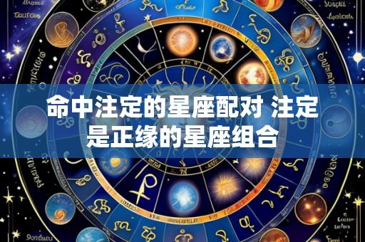 命中注定的星座配对 注定是正缘的星座组合