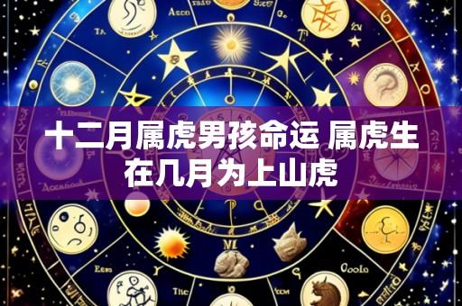 十二月属虎男孩命运 属虎生在几月为上山虎