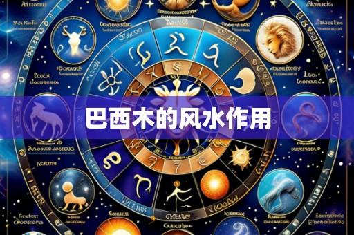 巴西木的风水作用
