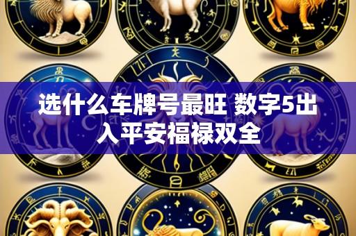 选什么车牌号最旺 数字5出入平安福禄双全
