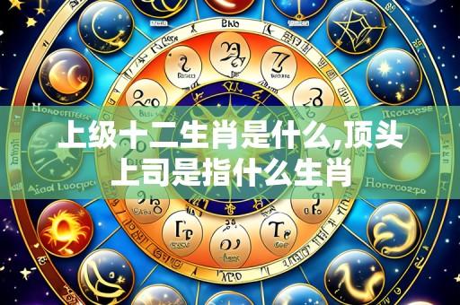 上级十二生肖是什么,顶头上司是指什么生肖