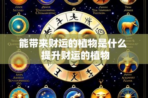能带来财运的植物是什么 提升财运的植物