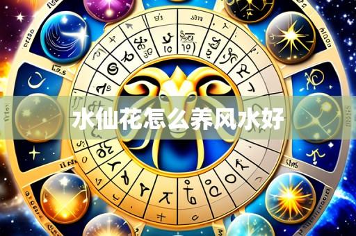 水仙花怎么养风水好