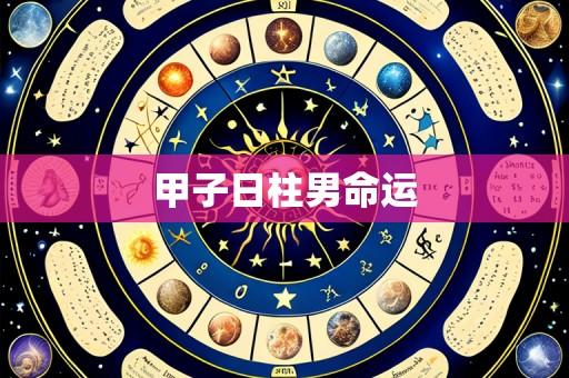 甲子日柱男命运
