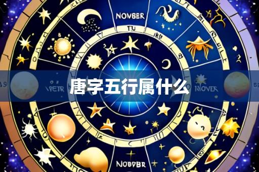 唐字五行属什么