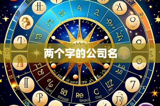 两个字的公司名