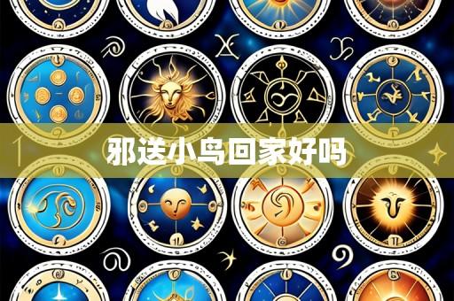 邪送小鸟回家好吗