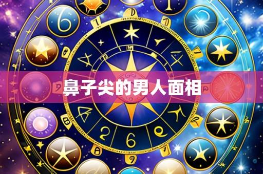 鼻子尖的男人面相