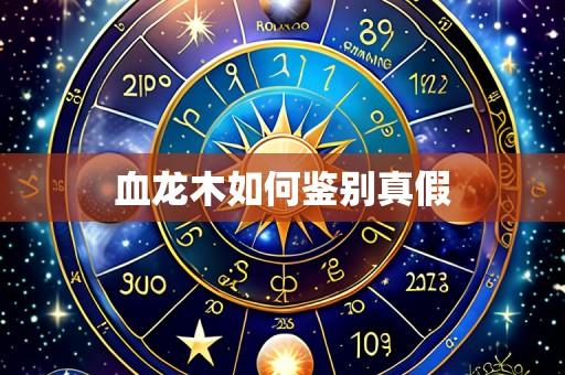 血龙木如何鉴别真假