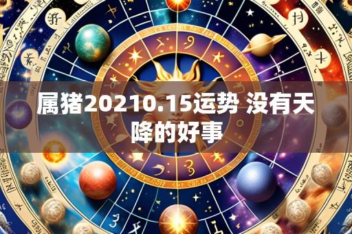 属猪20210.15运势 没有天降的好事