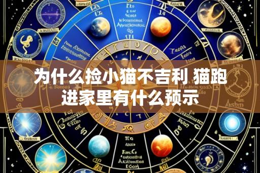 为什么捡小猫不吉利 猫跑进家里有什么预示