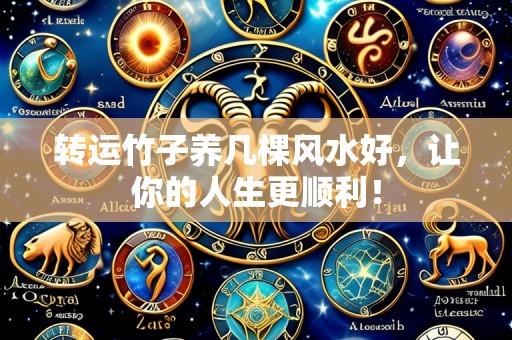 转运竹子养几棵风水好,让你的人生更顺利!