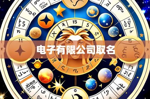 电子有限公司取名