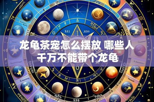 龙龟茶宠怎么摆放 哪些人千万不能带个龙龟