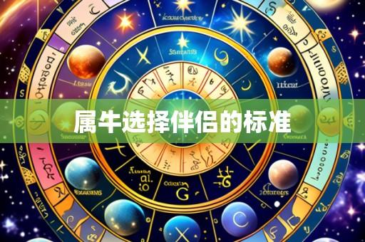 属牛选择伴侣的标准