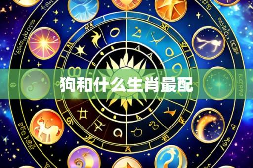 狗和什么生肖最配