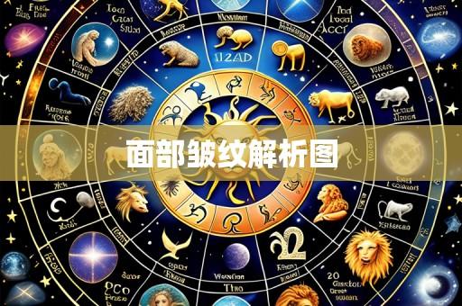 面部皱纹解析图