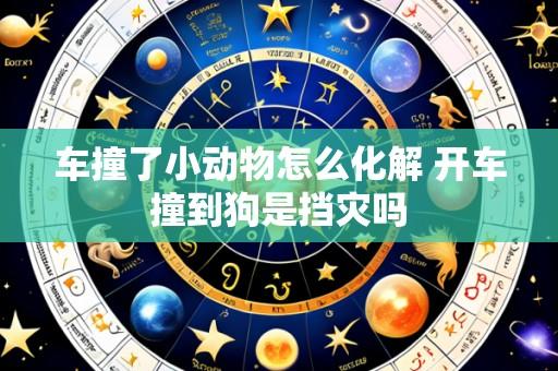 车撞了小动物怎么化解 开车撞到狗是挡灾吗
