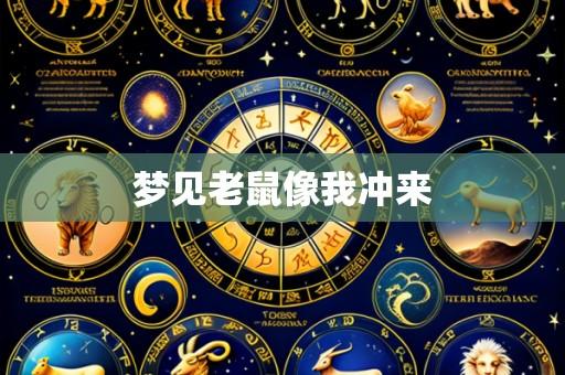 梦见老鼠像我冲来