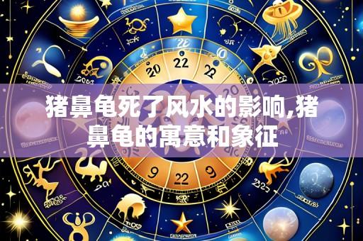 猪鼻龟死了风水的影响,猪鼻龟的寓意和象征