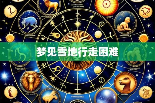 梦见雪地行走困难