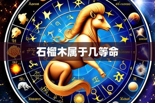 石榴木属于几等命