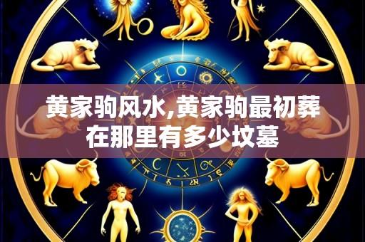 黄家驹风水,黄家驹最初葬在那里有多少坟墓