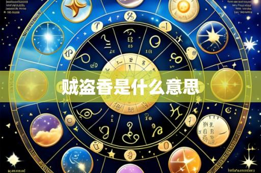 贼盗香是什么意思