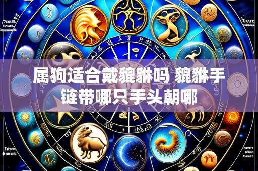 属狗适合戴貔貅吗 貔貅手链带哪只手头朝哪