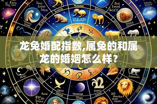 龙兔婚配指数,属兔的和属龙的婚姻怎么样?