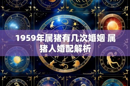 1959年属猪有几次婚姻 属猪人婚配解析