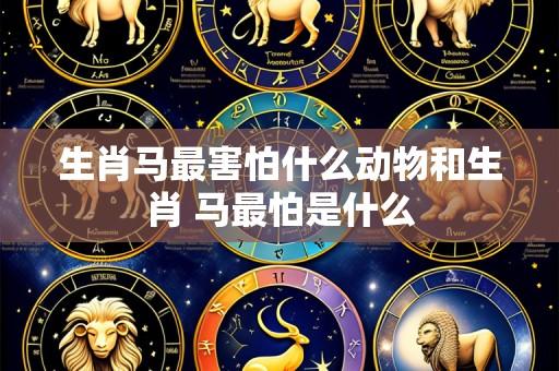 生肖马最害怕什么动物和生肖 马最怕是什么