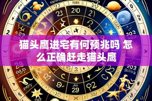 猫头鹰进宅有何预兆吗 怎么正确赶走猫头鹰