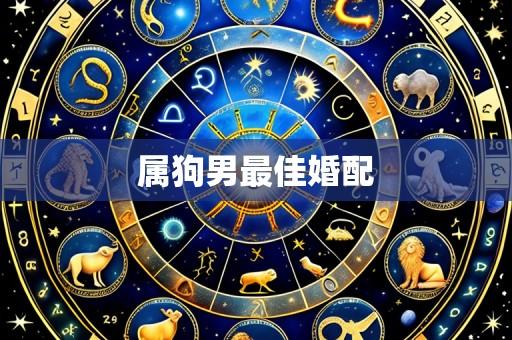 属狗男最佳婚配