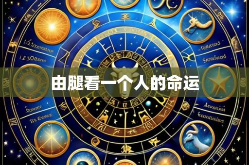 由腿看一个人的命运