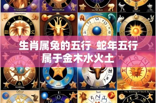 生肖属兔的五行 蛇年五行属于金木水火土
