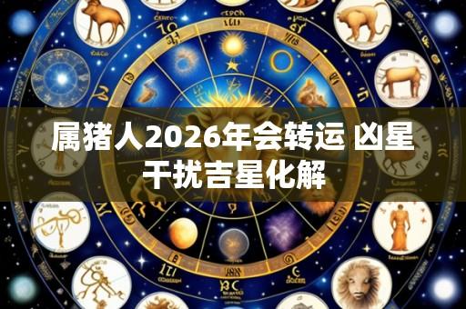 属猪人2026年会转运 凶星干扰吉星化解