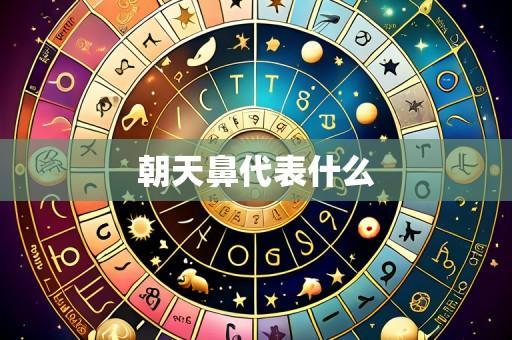 朝天鼻代表什么
