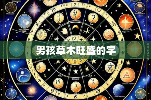 男孩草木旺盛的字