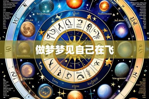 做梦梦见自己在飞