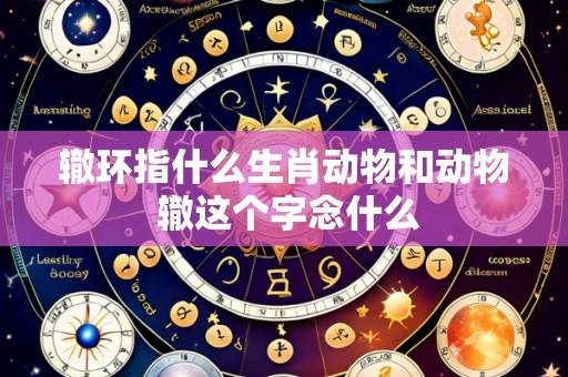 辙环指什么生肖动物和动物 辙这个字念什么