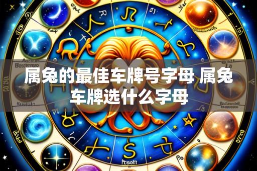 属兔的最佳车牌号字母 属兔车牌选什么字母