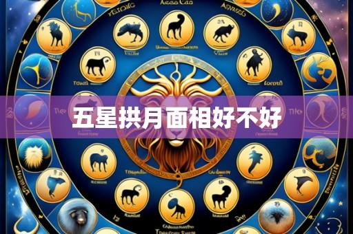 五星拱月面相好不好