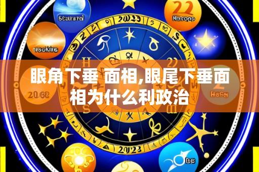 眼角下垂 面相,眼尾下垂面相为什么利政治