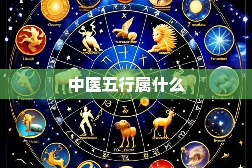 中医五行属什么