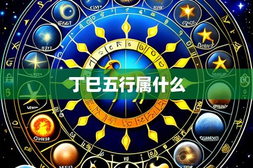 丁巳五行属什么