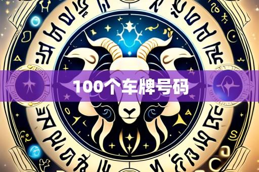 100个车牌号码