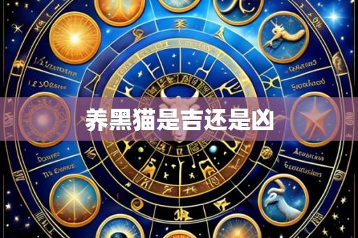 养黑猫是吉还是凶